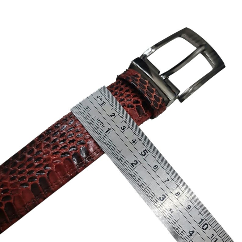 Może przedstawiać: Czerwony i brązowy sk&oacute;rzany pasek z srebrną klamrą. Pasek jest mierzony linijką, pokazując szerokość około 2,5 cm. Pasek ma wz&oacute;r przypominający sk&oacute;rę gada.