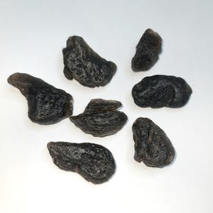 Pode incluir: Sete pedras de tectite escuras e de forma irregular estão dispostas sobre um fundo branco. As pedras variam em tamanho e têm uma superfície rugosa e texturizada. A cor é um cinza carvão profundo, com algumas áreas quase pretas.