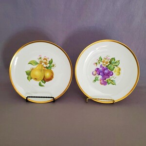 Set of 2 Decorative Wall Plates With Fruit and Floral Designs, 8 Inches, Made in Germany, Vintage From the 1960s (?)
