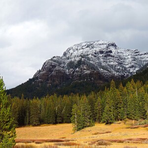 May include: A scenic landscape featuring a snow-capped mountain under a cloudy sky. A dense forest of evergreen trees lines the base of the mountain, with a field of golden grass in the foreground. The scene evokes a sense of natural beauty.
