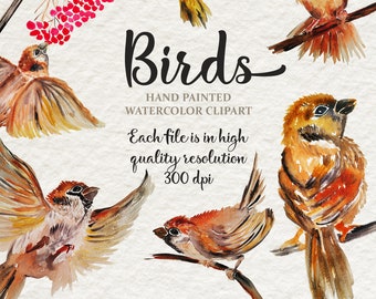 Watercolor Birds Clipart Sparrow - Hand painted spring bird digital clipart PNG painting,  Print Wall Art Hand painted, Instant Download