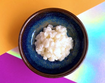 LIVE Organic Milk Kefir Grains with Quick Start Guide, and How to Video Included