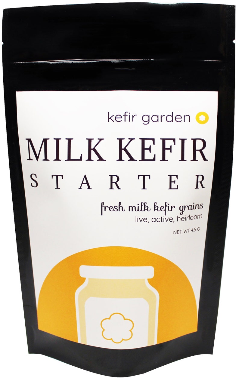 LIVE Organic Milk Kefir Grains with Digital Quick Start Guide Etsy