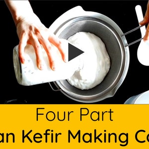 LIVE Organic Milk Kefir Grains with Quick Start Guide, and How to Video Included imagem 4