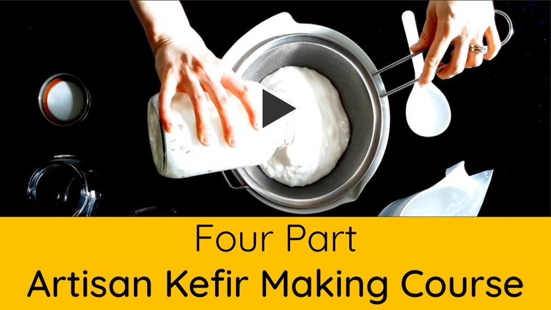 LIVE Organic Milk Kefir Grains with Quick Start Guide, and How to Video Included image 4