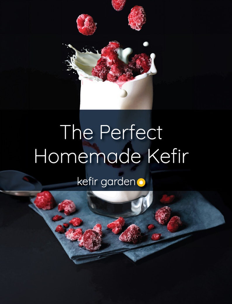 LIVE Organic Milk Kefir Grains with Quick Start Guide, and How to Video Included afbeelding 3