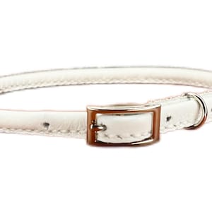 May include: A white leather dog collar with a silver-colored metal ring and a rectangular buckle. The collar is round and stitched, with a light brown buckle. The collar is designed for a pet.
