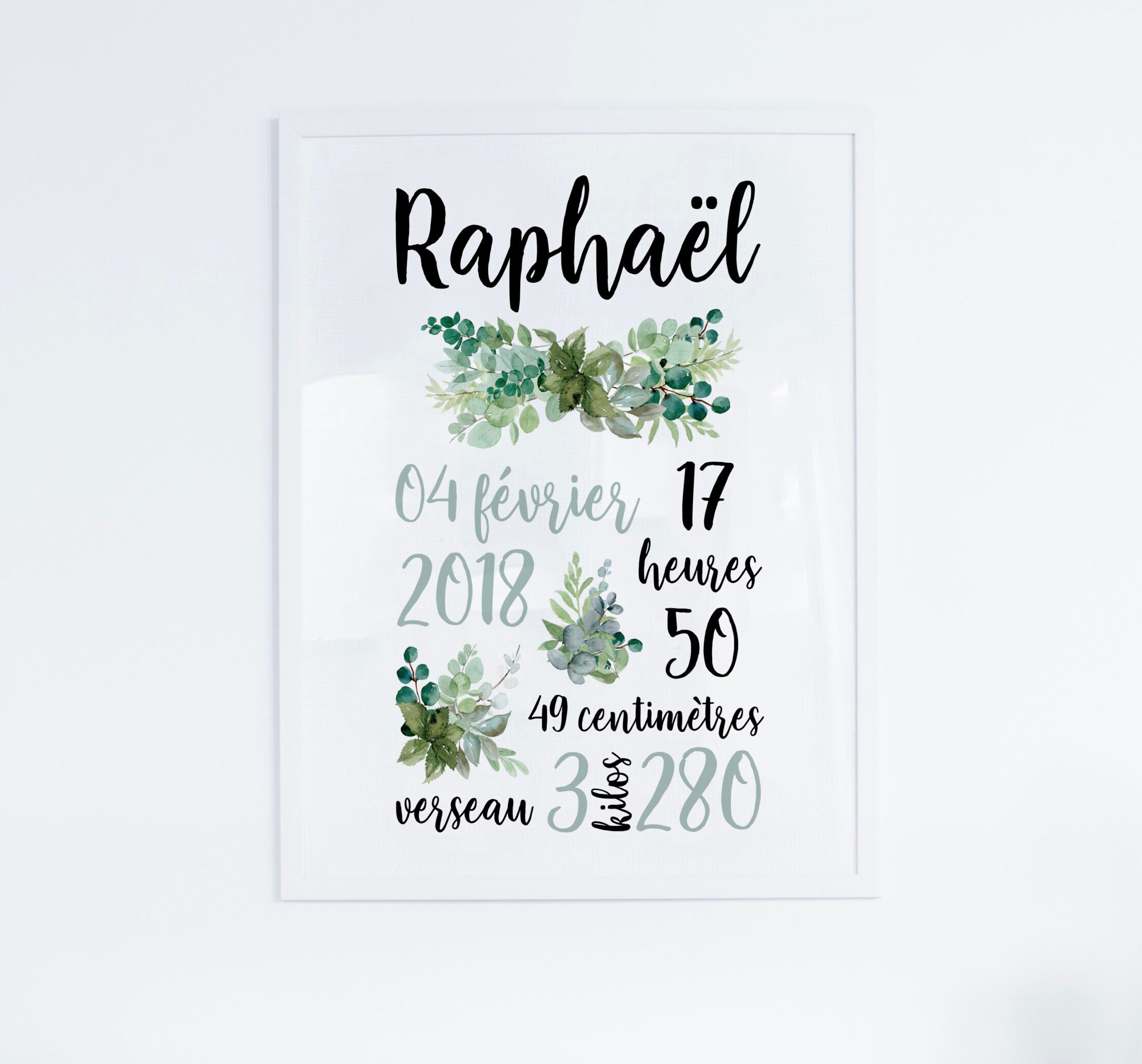 Affiche Naissance Raphael