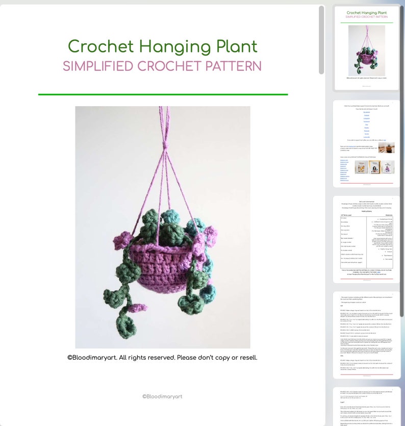 Crochet Car Hanging Plant with Flowers Simplified Crochet Pattern image 5