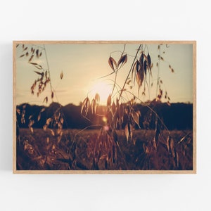 Golden field at sunset print, France landscape poster, French country decor, Nature photography, Printable wall art, Instant download