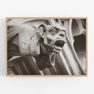 Arte murale stampabile, Gargoyle in Cattedra di Carcassonne stampa cattedrale, Architettura in Francia, Immagini d&#39;interni per la casa, chiesa gotica, download istantaneo