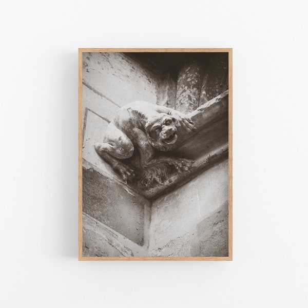 France gothic church photography, Gargoyle in Albi Cathedral, Architectural detail, Black & White Catholic art, Printable wall art