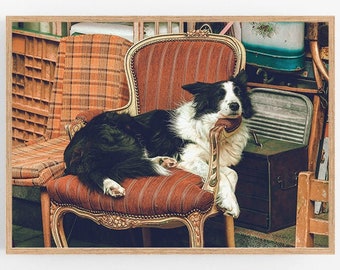Stampa digitale con ritratto di cane Border Collie, decorazione vintage per la casa (download digitale)