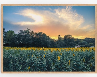 Printable wall art, Sunflowers field at sunset print, Summer landscape poster, French country decor, Nature photography, Instant download