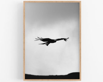 Printable wall art, Eagle soaring with spread wings black and white print, Home interior pictures, Instant download, Nature photography