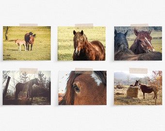 Printable wall art, Gallery of 6 digital prints in instant download for 5x7 inches and 13x18 cm picture frames, Rustic horses decor photos
