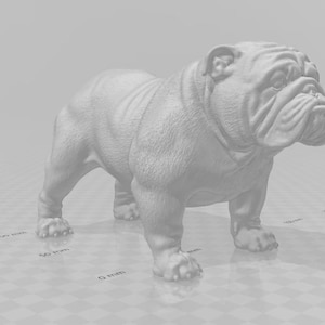 bulldog-stijl