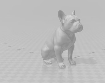 French Bulldog