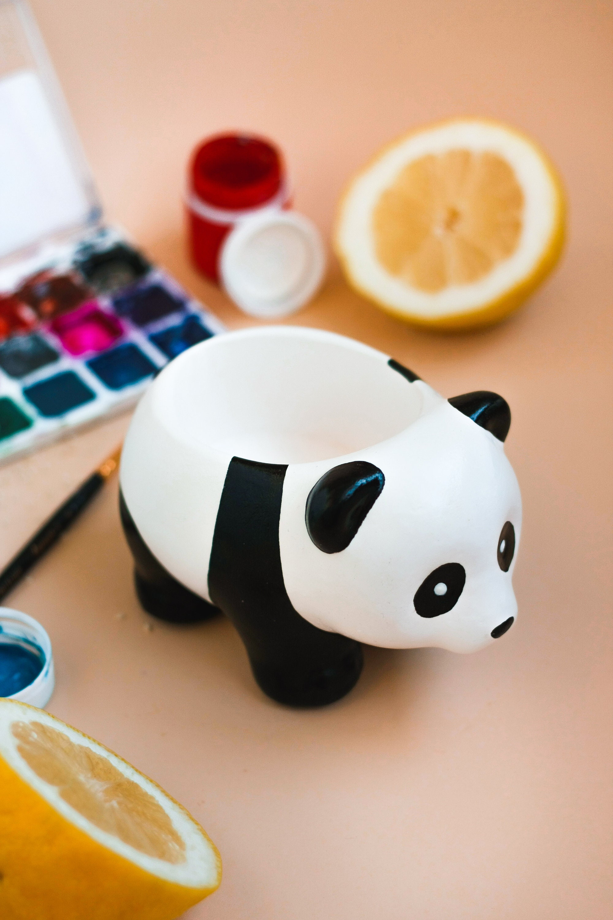 Panda planter personalized panda plant pot ceramic panda pot Etsy