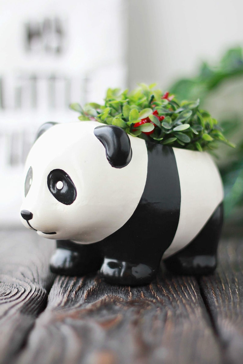 Small panda indoor pot. Cute animal planter for cactus or
