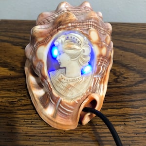 May include: A seashell lamp with a carved cameo of a woman's profile. The shell is brown and white with a textured surface. The cameo is illuminated by blue LED lights. The lamp is plugged in with a black cord.
