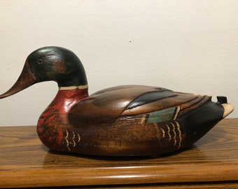 Beautiful mallard by Tom Taber Hersey Kyle Jr