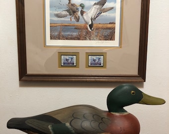 1910 wooden Dodge Duck Decoy professionally resorted with Mallard print WTD stamp by David MAASS