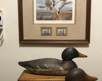 Sandard  Mason Pair of Mallard Duck decoys with painted eyes along with Mallard print signed by artist Don Balke