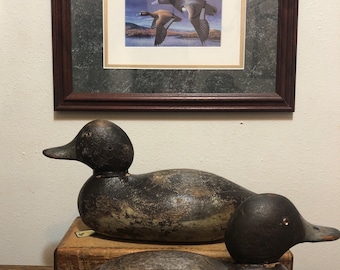 Pair of Mason Blue Bill wooden decoys with Blue Bills at Button Bay Vermont Duck Stamp Design