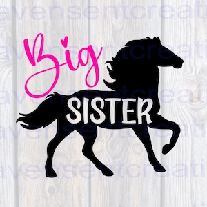 Diseño de anuncio de nuevo bebé de Big Sister, ascendido a caballo de hermana mayor, niñas,