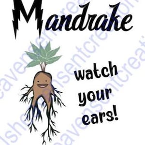 HP wizard themed mandrake cutie, play on potter vibes Svg cut file Baby onesie, kids shirts, hp fans funny saying digital file
