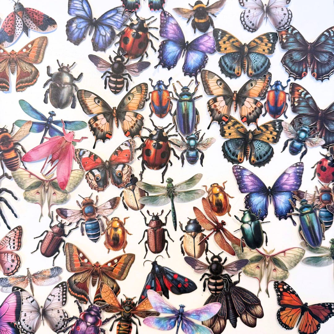 5-25 Random Butterfly & Beetle Sticker Pack | Vintage Insect Botanical ...