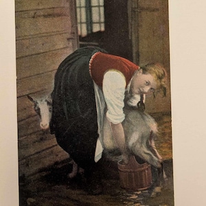 Postal vintage de Noruega: Niña con bunad ordeñando una cabra. Escena de la vida en la granja, Gudbrandsdalen, circa 1910.
