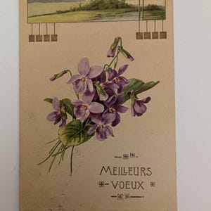 Cartolina d'epoca francese in rilievo con viole – Meilleurs Voeux – Biglietto d'auguri in stile Art Nouveau dei primi anni del 1900