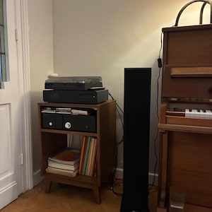 Puede incluir: Un mueble de madera para equipos de audio con dos estantes, que sostiene un tocadiscos, un receptor y un reproductor de CD. El estante inferior contiene una pila de libros y discos. Un altavoz de pie negro y alto est&aacute; junto al mueble.
