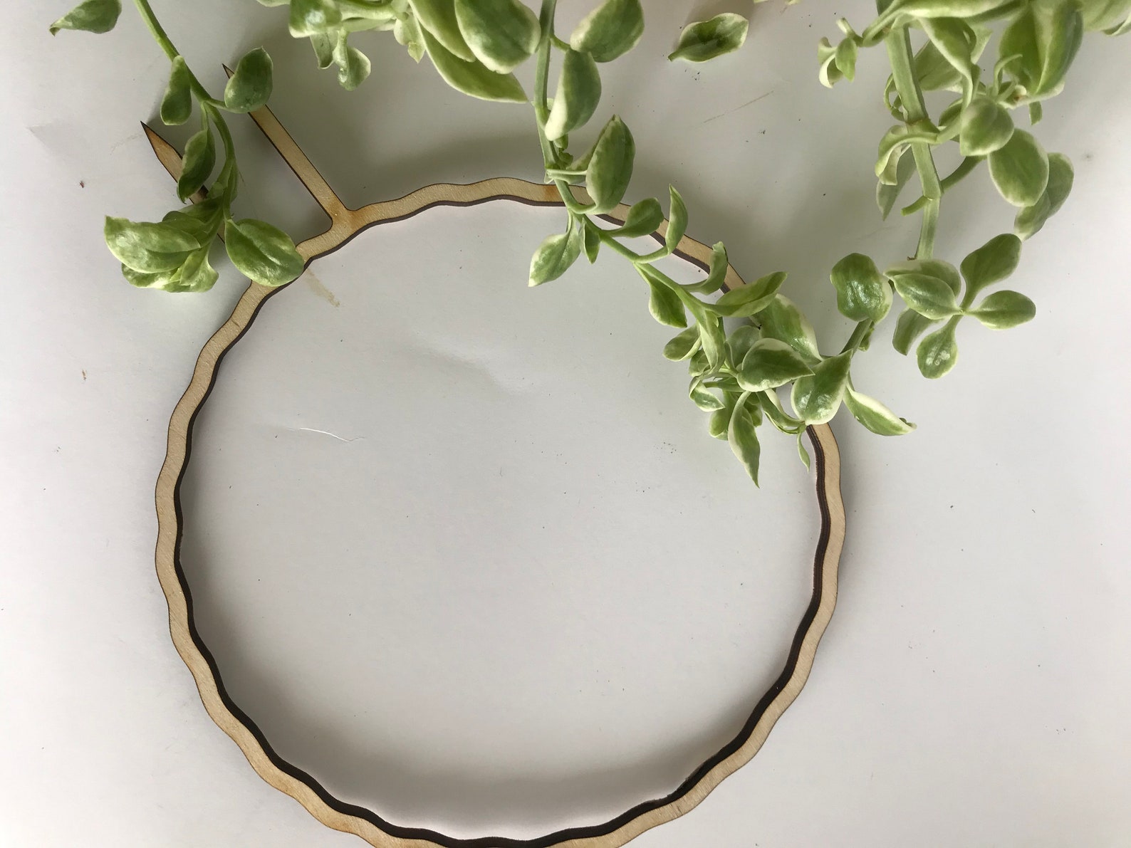 Wooden Hoop Plant Hanger Indoor Plant Hanger Plant Support Etsy