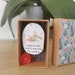 see more listings in the Nachrichtenbox section