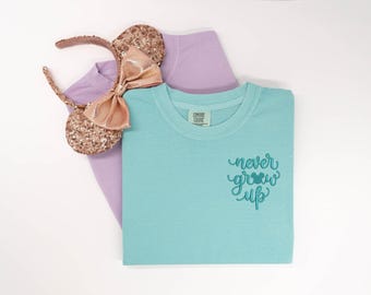 Peter Pan embroidered Tshirt, Peter Pan embroidered shirt, Peter Pan t-shirt, Disney Shirt, Disney tshirt, Disney Tanktop