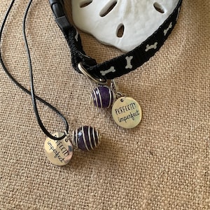 Matching Pet and Owner Collar Jewelry Set - Crystal Charm & Necklace - Perfect Pet and Owner Matching Jewelry Gift