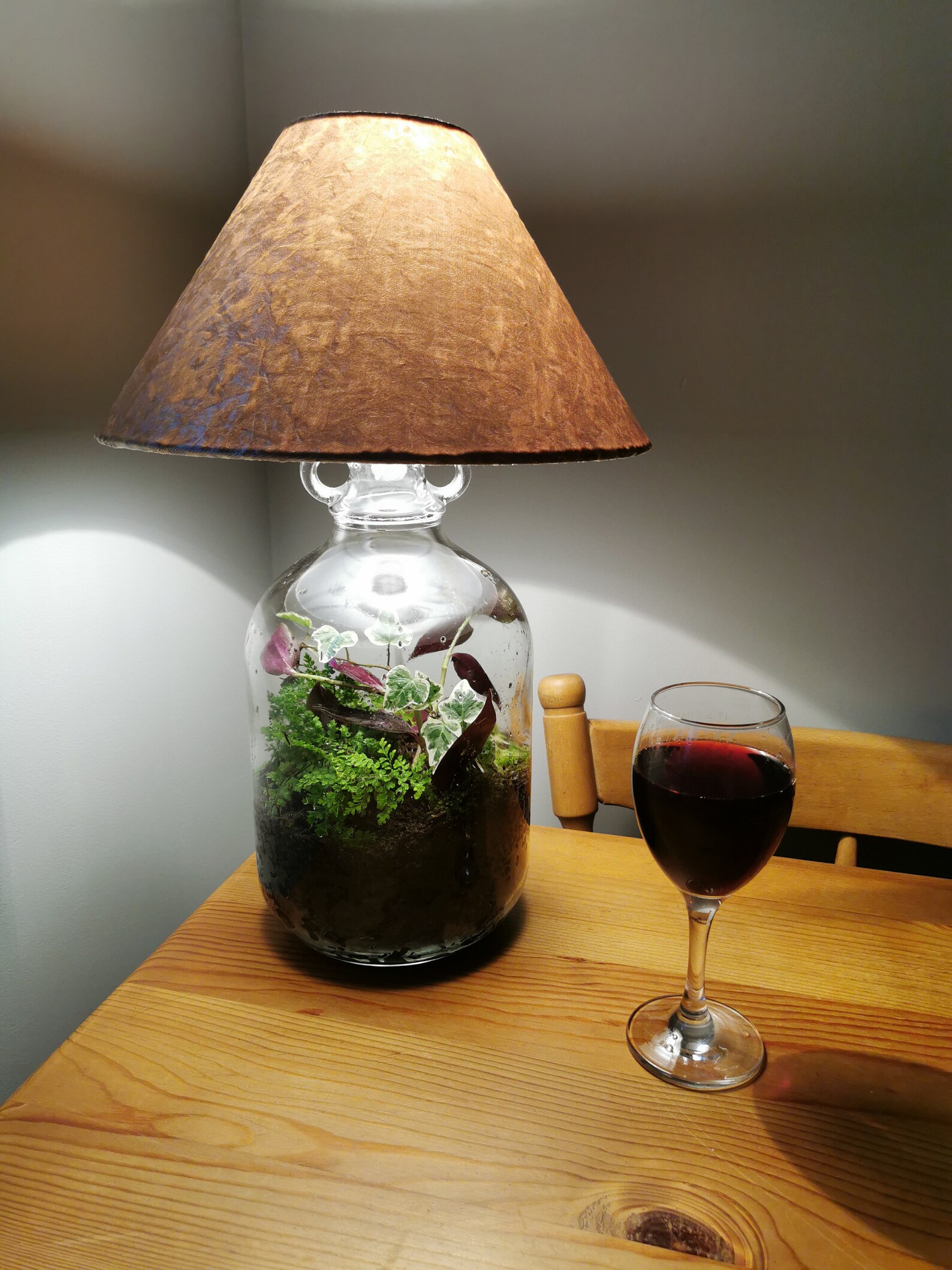 Terrarium Living ecosystem lamp lights Etsy