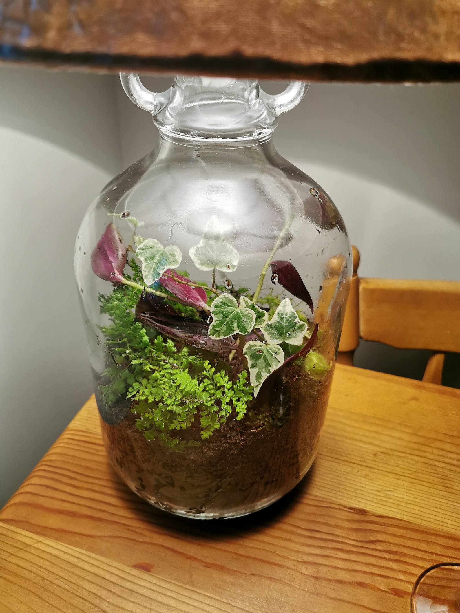 Terrarium Living ecosystem lamp lights Etsy