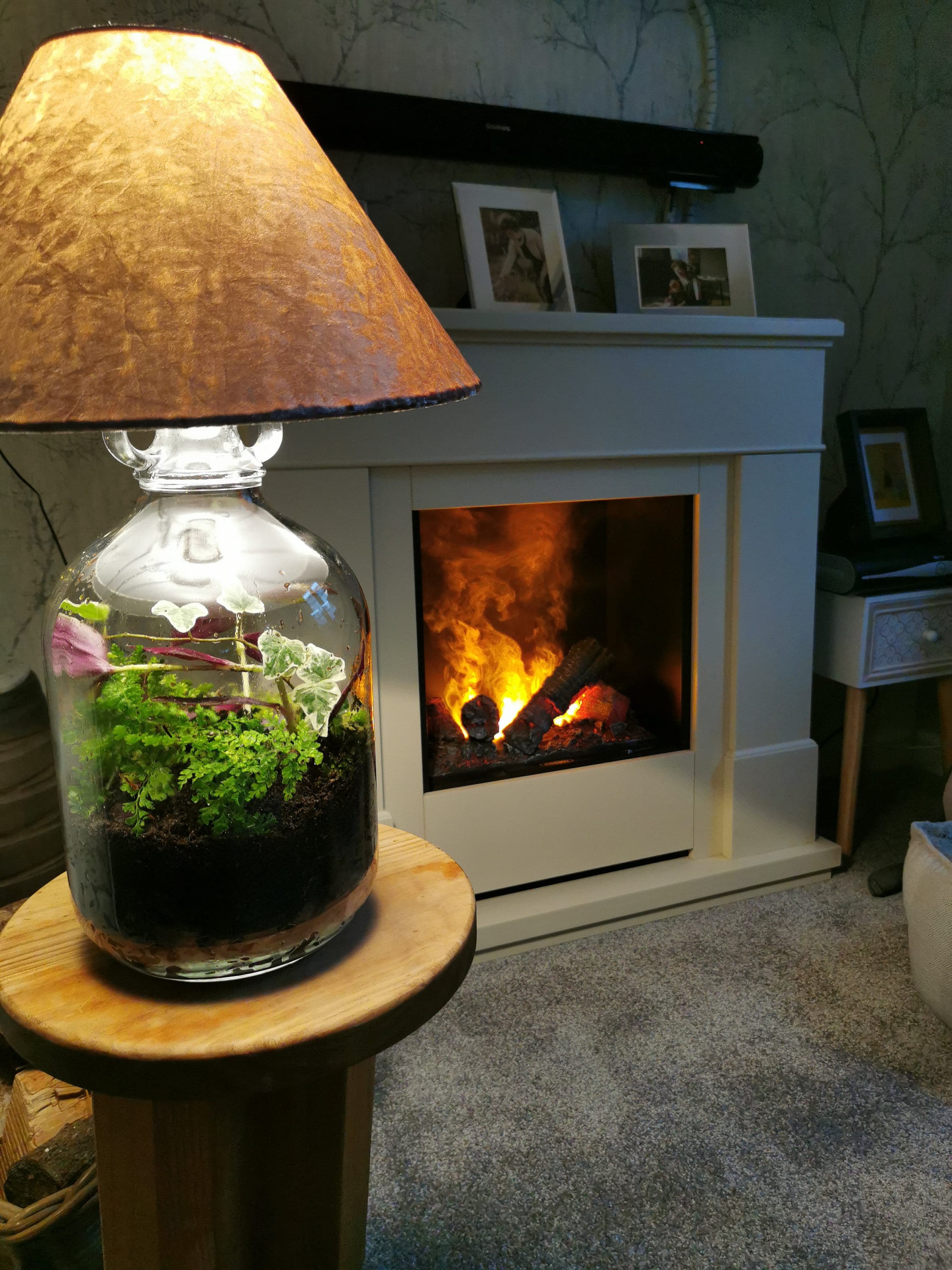 Terrarium Living ecosystem lamp lights Etsy