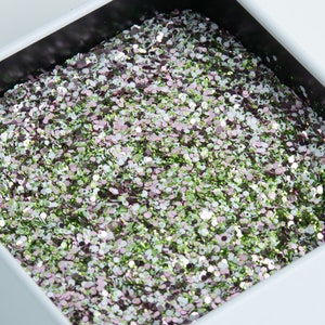 Août || Chunky Mix Polyester Glitter || Résistant aux solvants