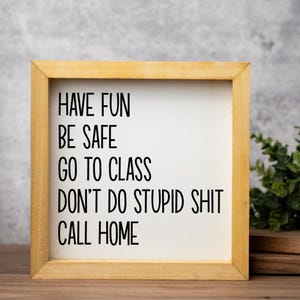 Dorm Rules Sign Decor, Have Fun Be Safe Go To Class, Funny Graduation Gift, College Gifts, New College Student Gift afbeelding 4