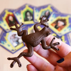 Aimant de grenouille en chocolat (comprend une carte magique)