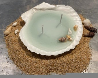 Seashell Candle | Handmade | Two Wick Candle | Ocean Breeze Scented Candle