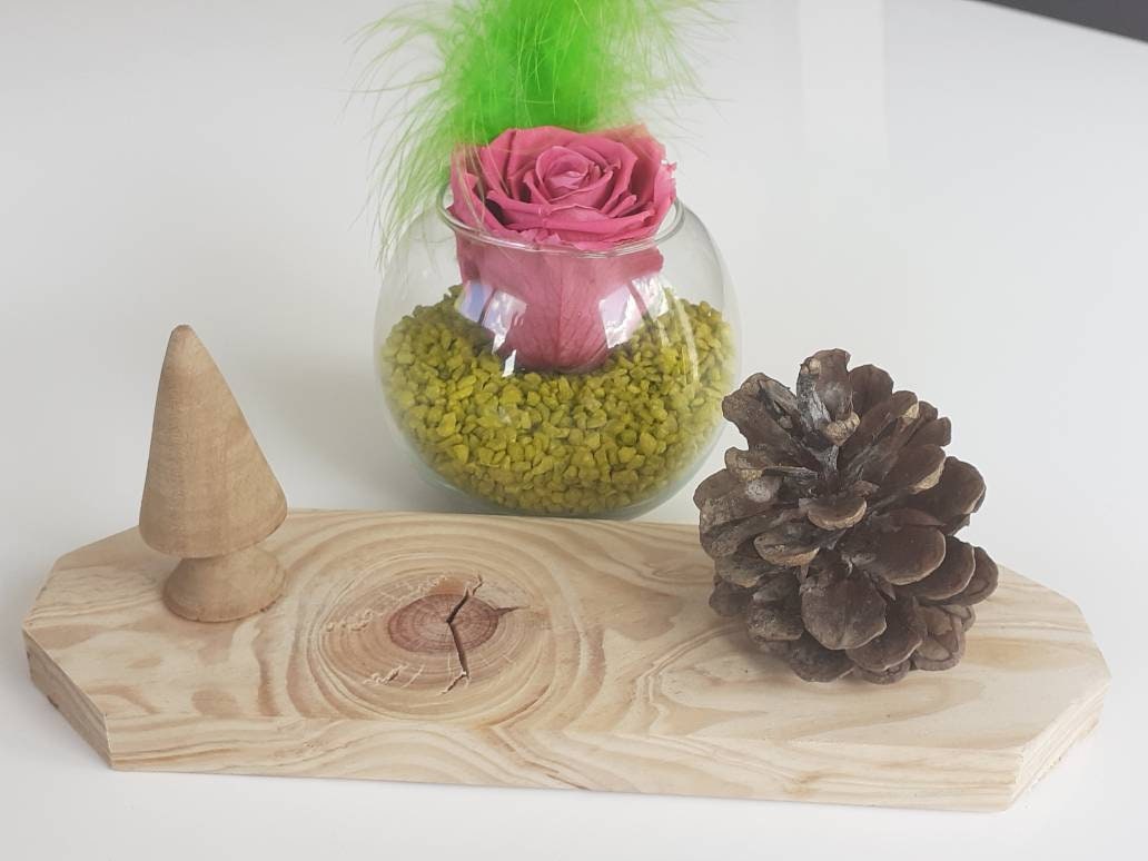 Diffuseur Naturel de Parfum en Bois avec Un Sapin et Une Pomme Pin Pour Huiles Essentielles Fait Mai