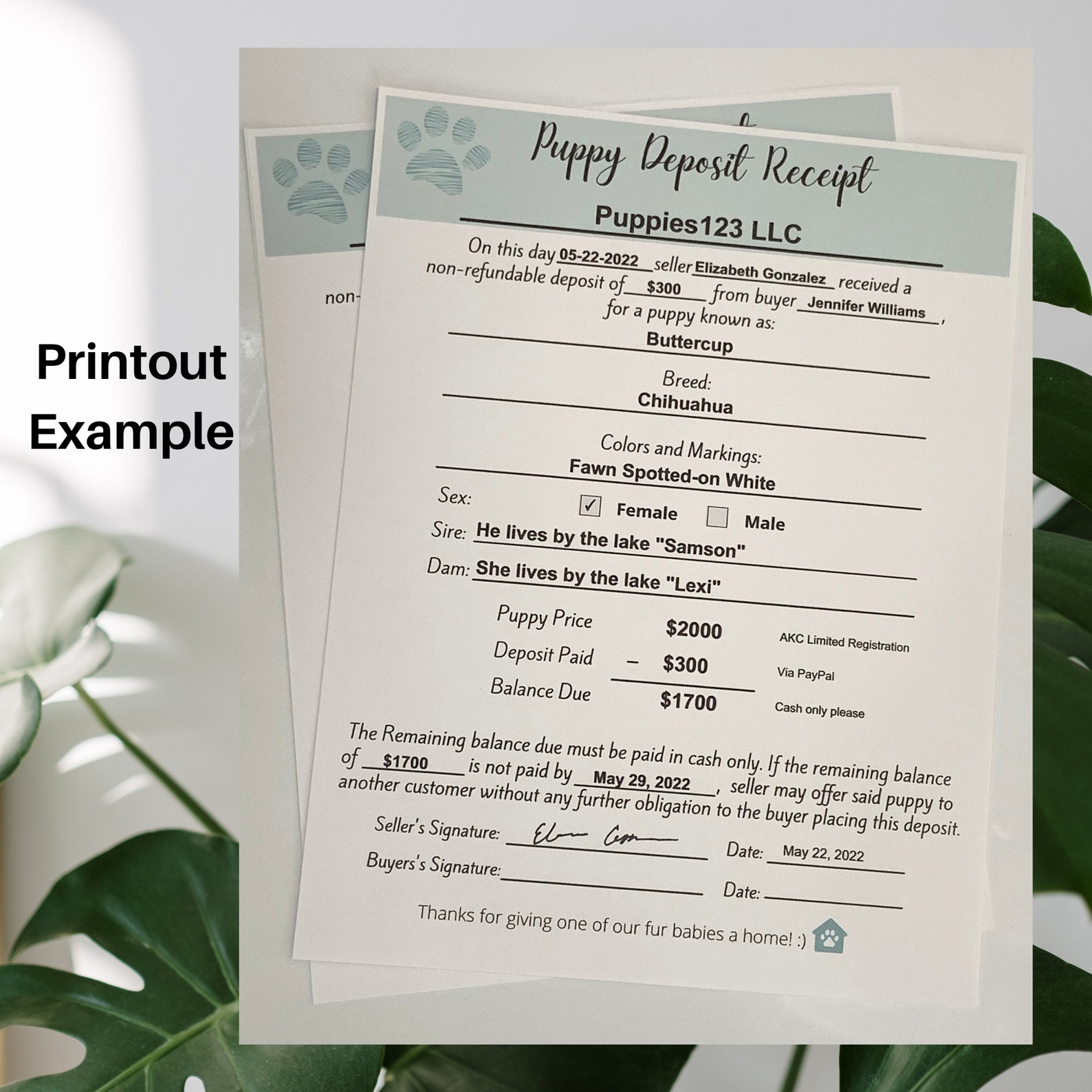 Puppy Deposit Receipt Fillable Puppy Deposit Slip Editable Etsy