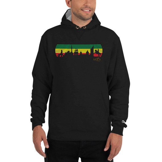 colorful champion hoodie