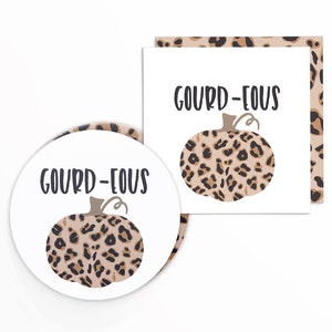 Gourd-eous 2x2&quot; Tag with Classic Leopard Pumpkin | Printable | Instant Download | Fall and Autumn | Cookie Tag
